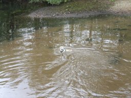 img_6221_web
